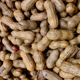 fresh boiled peanuts