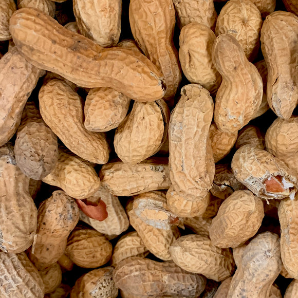 Roasted Peanuts Bags